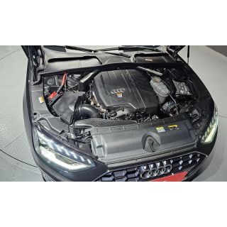 252894