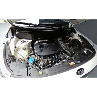 273604