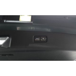 263619
