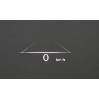 294976