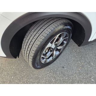 299194