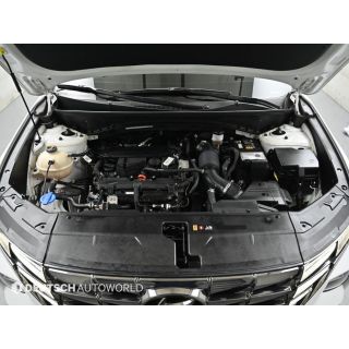 569406