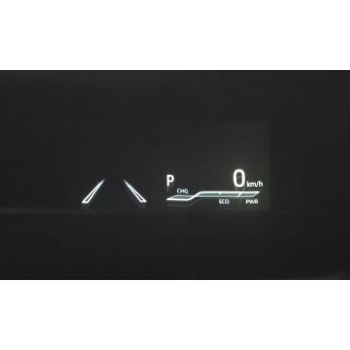 224419