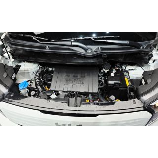 494981