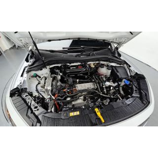 288843