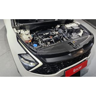 255361
