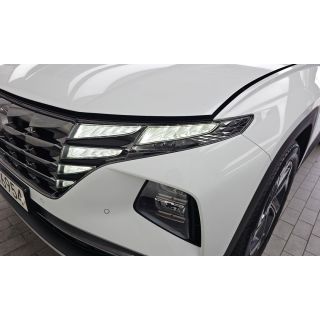 226446