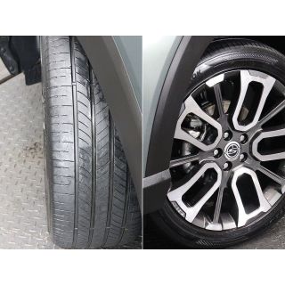 259904