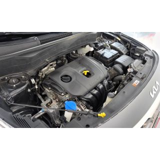 626005