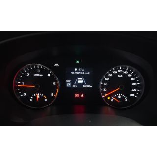 503419