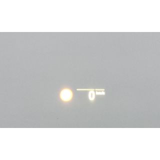 303002