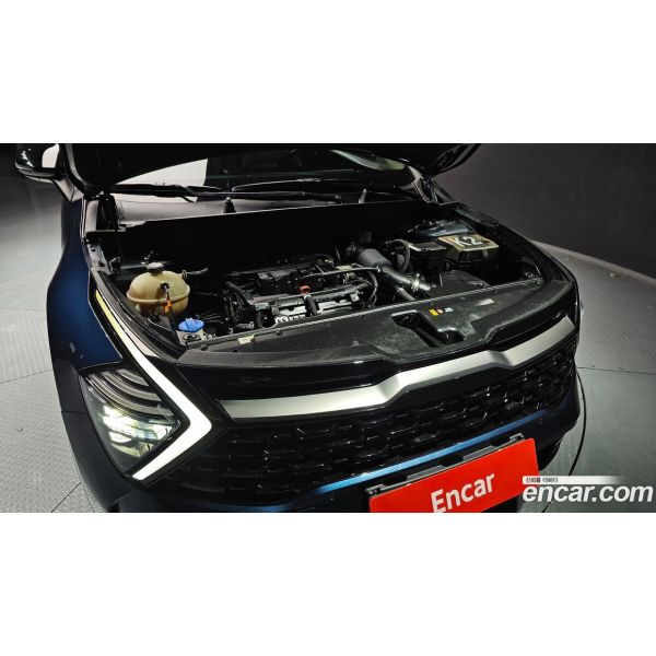 6675