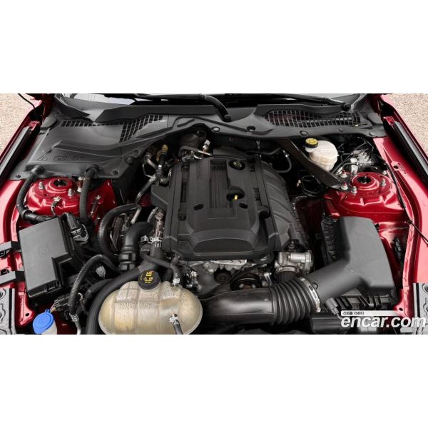 264582