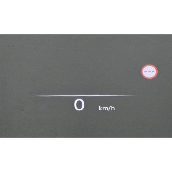 68301