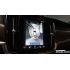 393925
