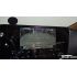 282031