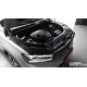 293808