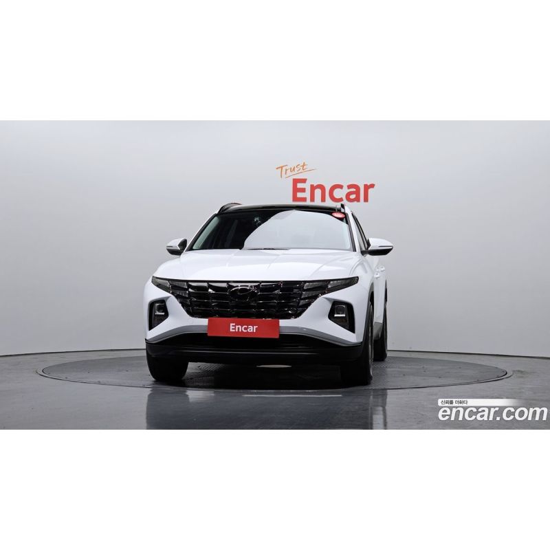 171304
