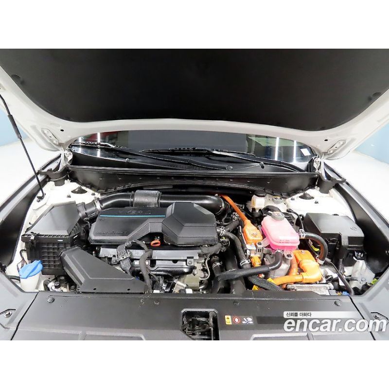 282491