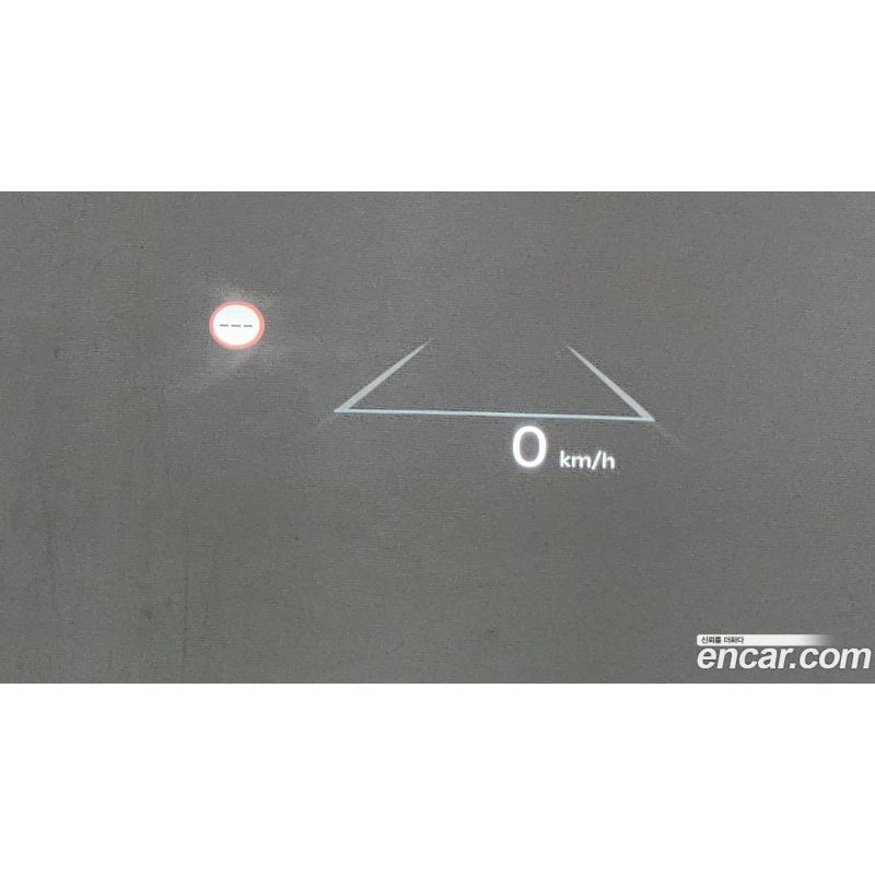 504619