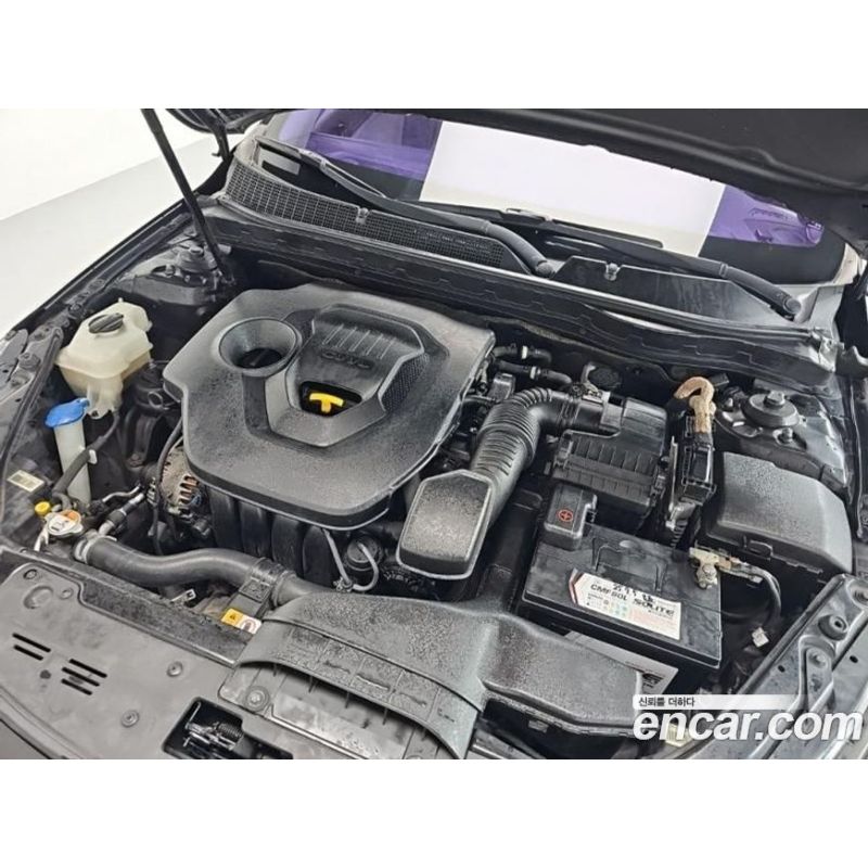 296077