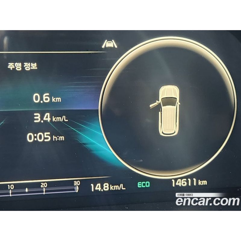 323131
