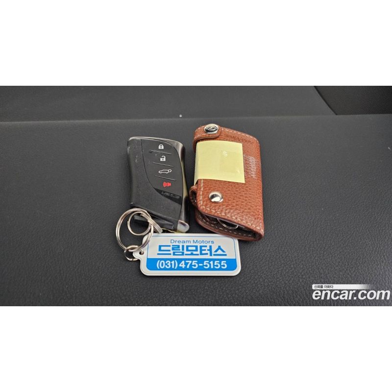 51293
