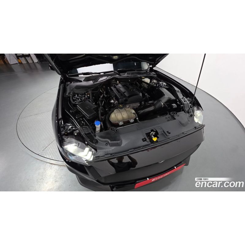 523269