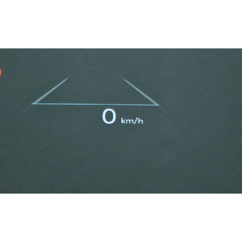 310076