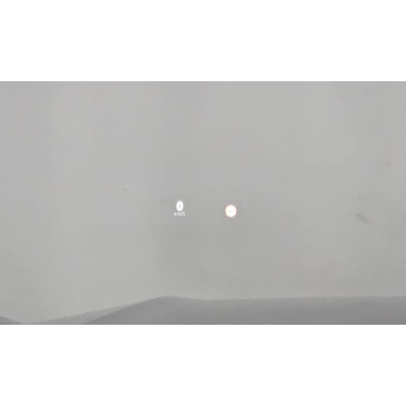 619566